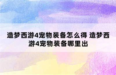 造梦西游4宠物装备怎么得 造梦西游4宠物装备哪里出